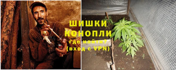 спайс Гусев
