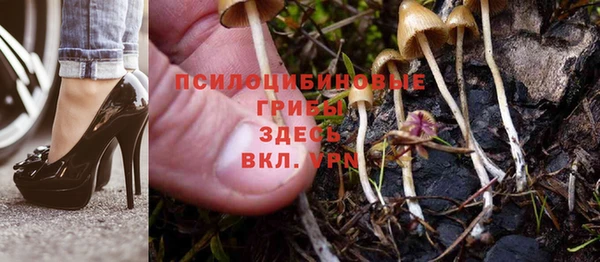 гидра Каменногорск
