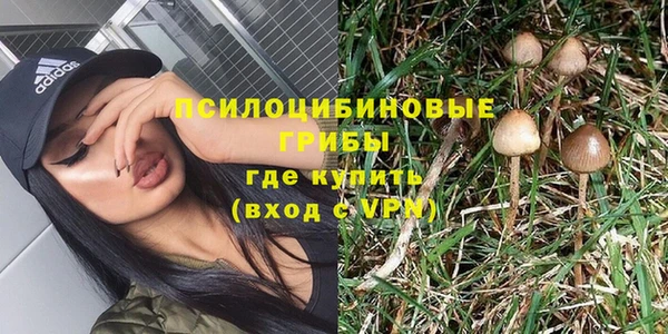 гашик Баксан