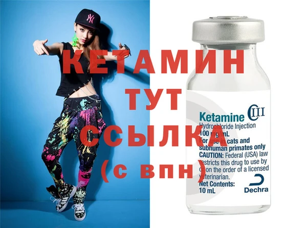 сатива Каменка