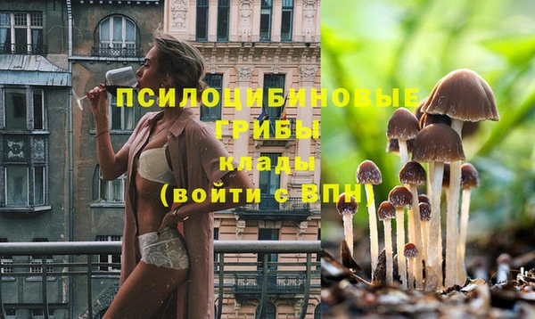 гашик Баксан